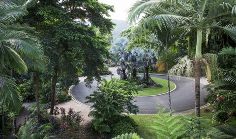 Oasis At Palm Cove - Accommodation NT 7