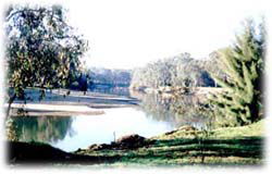 Corowa Golf Club Motel - Accommodation NT 0