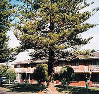 Eastern Beach Holiday Units - Accommodation NT