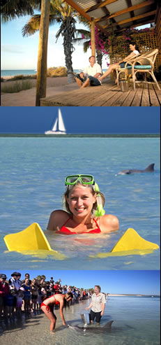 Monkey Mia Dolphin Resort - Accommodation NT 0