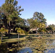 Twin Lakes Hotel - Accommodation NT