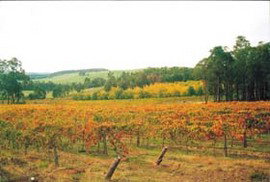 Byramgou Park - Accommodation NT 0