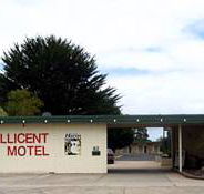 Millicent Motel - Accommodation NT