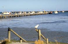 Seaview Motel And Holiday Units - Accommodation NT 0
