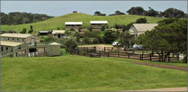 Cape Schanck VIC Accommodation NT