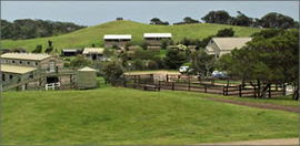 Ace Hi Riding Ranch - Accommodation NT 0