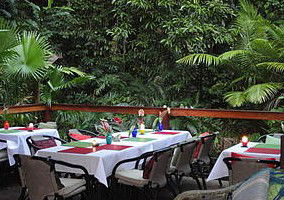 Daintree Rainforest Retreat Motel - Accommodation NT 1