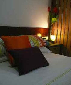Daintree Rainforest Retreat Motel - Accommodation NT 3