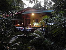 Daintree Rainforest Retreat Motel - Accommodation NT 4