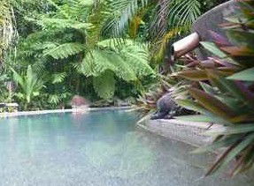 Daintree Rainforest Retreat Motel - Accommodation NT 5