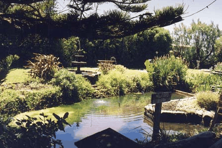 Bayside Gardens - Accommodation NT 0