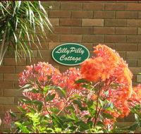 Lillypilly - Accommodation NT