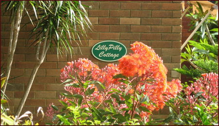 Lillypilly - Accommodation NT 0