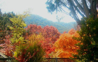 ELLENVALE HOLIDAY UNITS - Accommodation NT 1