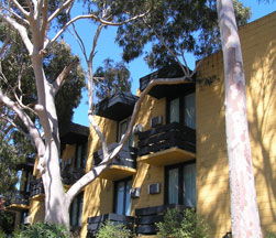 Pathfinder Motel - Accommodation NT 1