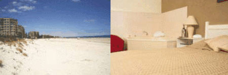 Buffalo Motor Inn - Accommodation NT 4