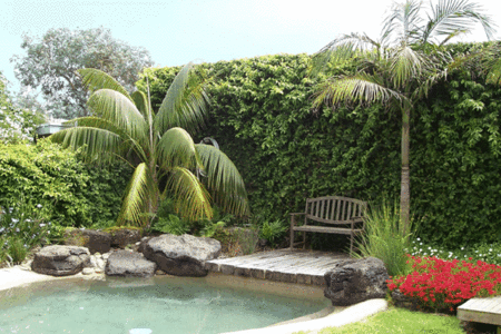 The Tropicana Motor Inn - Accommodation NT 2