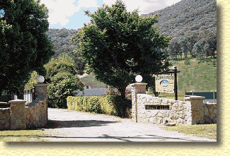 Willow Dene - Accommodation NT 1