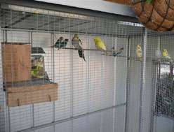 Yarragon Motel - Accommodation NT 1