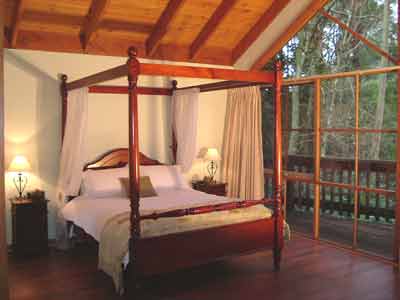 Belle Le Vie (Luxury B&B) - Accommodation NT 2