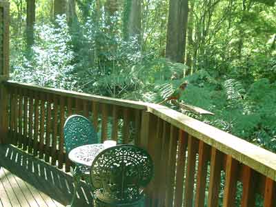 Belle Le Vie (Luxury B&B) - Accommodation NT 4