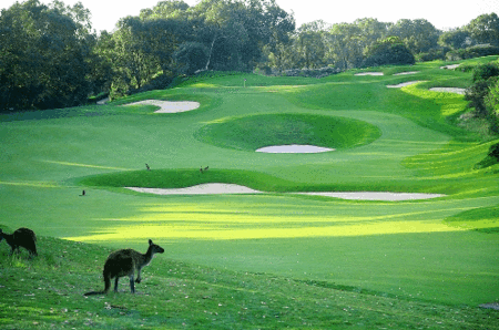 Joondalup Resort - Accommodation NT 1