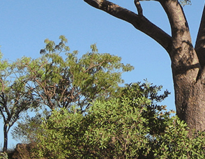 Lakeview Apartments Kununurra - Accommodation NT 3