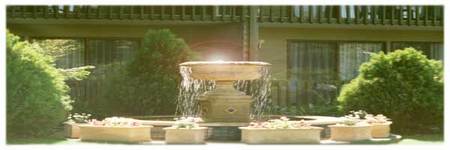 Best Western Tall Trees Motel - Accommodation NT 2