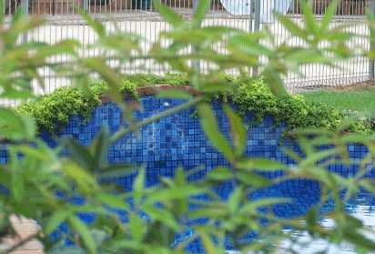 Arcadia Motor Inn - Accommodation NT 4