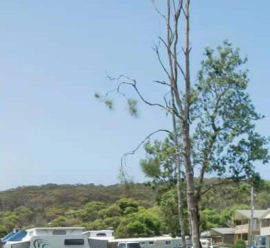 Merry Beach Caravan Park - Accommodation NT 2