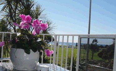 Beach Park Motor Inn - Accommodation NT 3