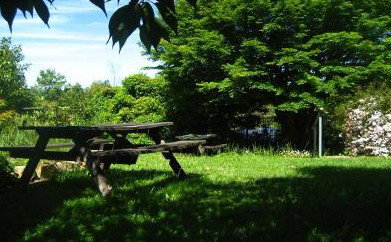 The Cecil Guest House - Accommodation NT 5