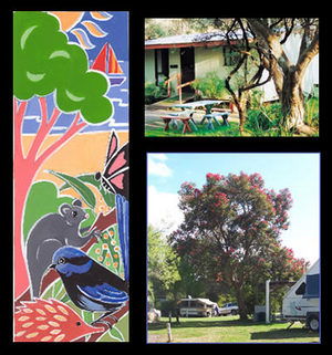 Bushland Cabins - Accommodation NT 0