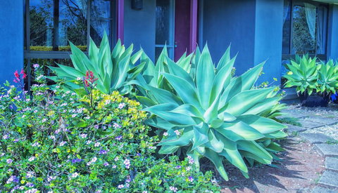 Possum Creek Lodge - Accommodation NT 2