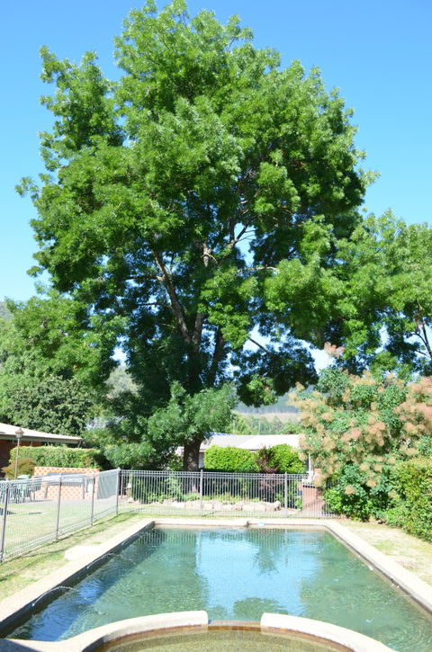 Bright Colonial Inn Motel - Accommodation NT 4