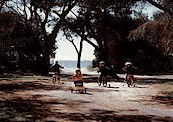 Acacia Caravan Park - Accommodation NT 4