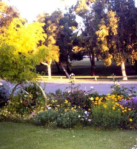 Parkside Bed And Breakfast - Accommodation NT 1
