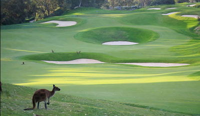 Joondalup Resort - Accommodation NT 9