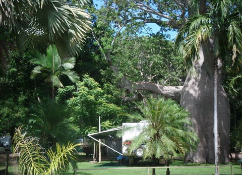 Kimberleyland Holiday Park - Accommodation NT 5