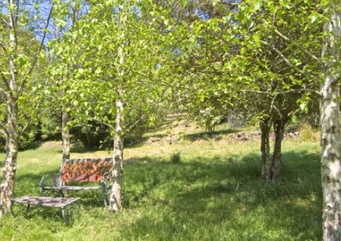 Tomah Mountain Lodge - Accommodation NT 2