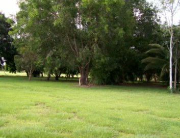 Daly River Mango Farm - Accommodation NT 1