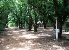 Daly River Mango Farm - Accommodation NT 4
