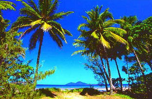 Mission Beach Rainforest Motel - Accommodation NT 1