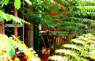 Mission Beach Rainforest Motel - Accommodation NT 3