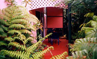 Mission Beach Rainforest Motel - Accommodation NT 4