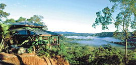 Daintree Cloud 9 - Accommodation NT 1