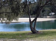 Ocean View Apartments - Accommodation NT 3