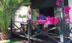 Desert Palms Resort - Accommodation NT 3
