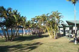 BIG4 Bowen Coral Coast Beachfront Holiday Park - Accommodation NT 0