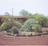 Beaufort Motel - Accommodation NT